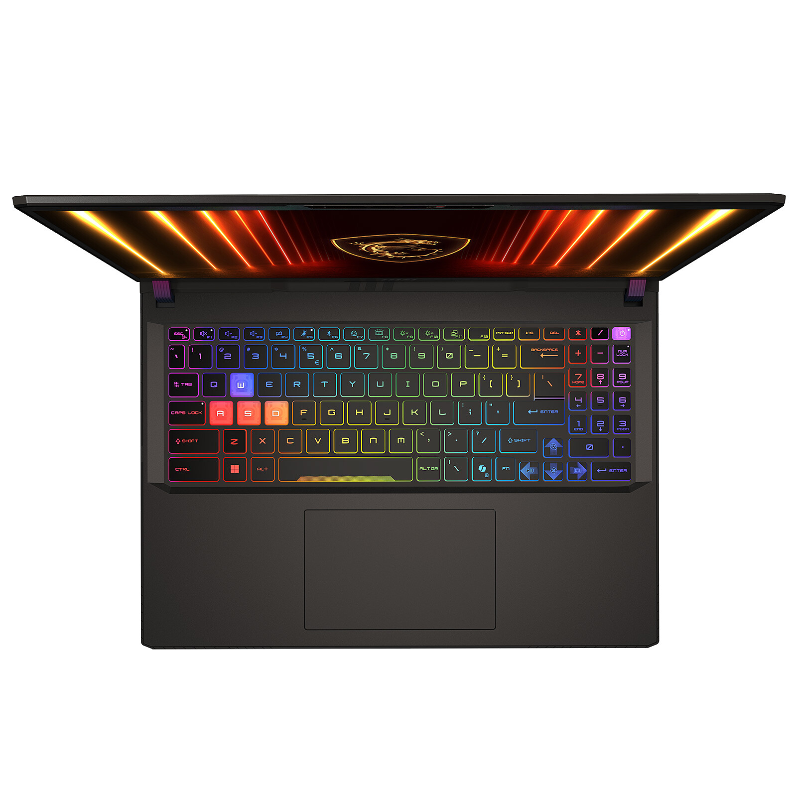 vector 16